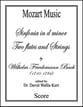 Sinfonia in d minor (for two flutes and strings) Orchestra sheet music cover